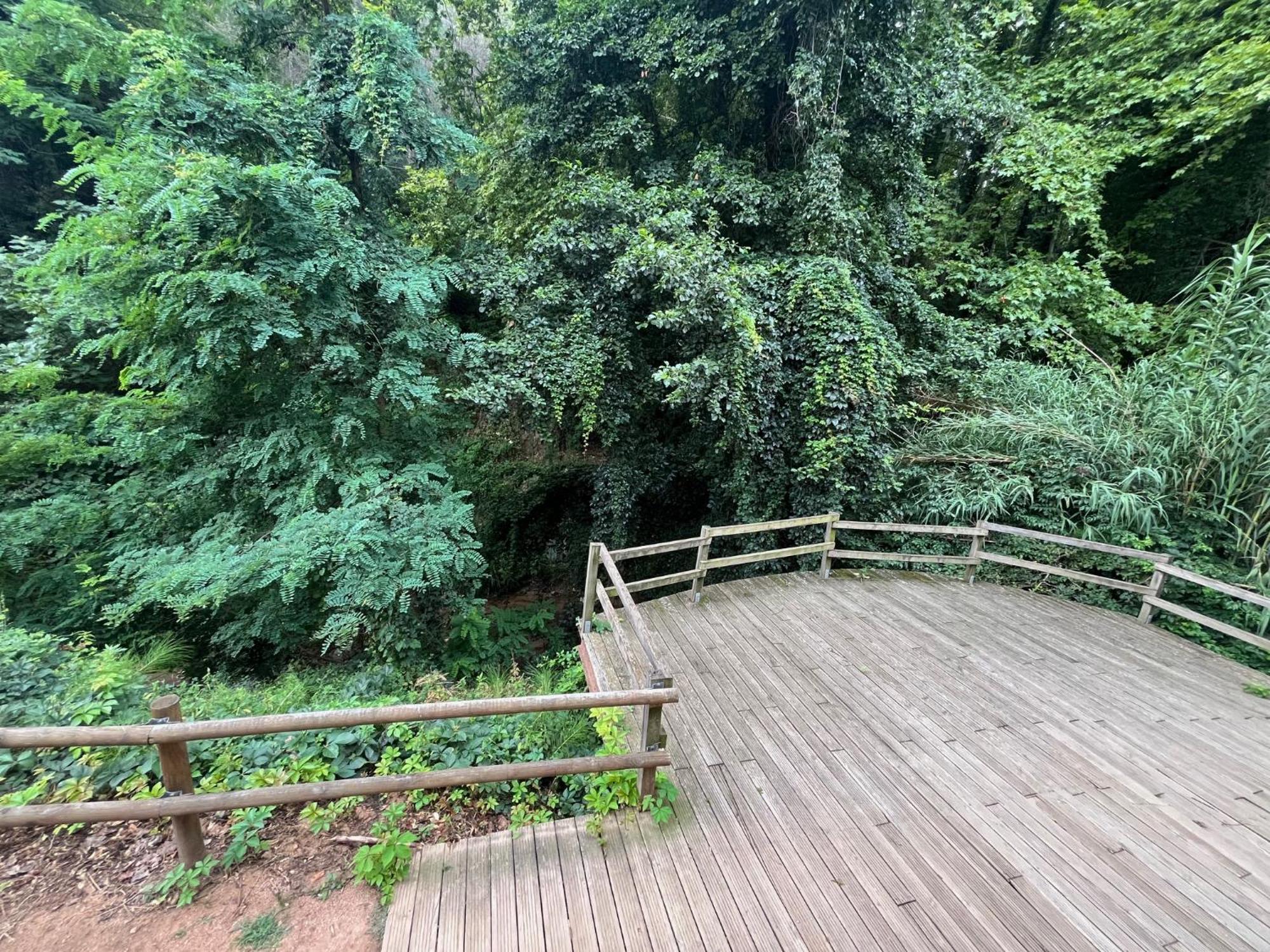 Apartamento El Mirador De La Farga Arbúcies Dış mekan fotoğraf